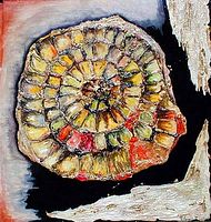 AMMONITE GRANDE cm 95x105  euro 1600